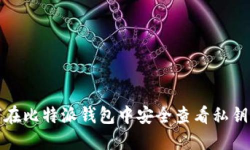 如何在比特派钱包中安全查看私钥密码