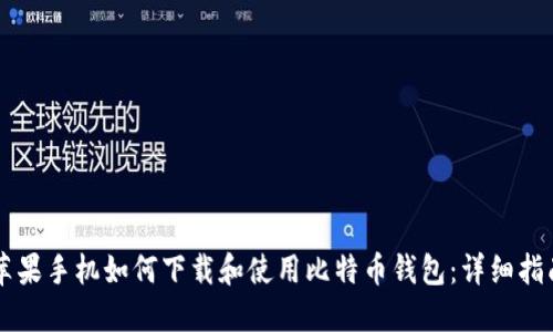 苹果手机如何下载和使用比特币钱包：详细指南